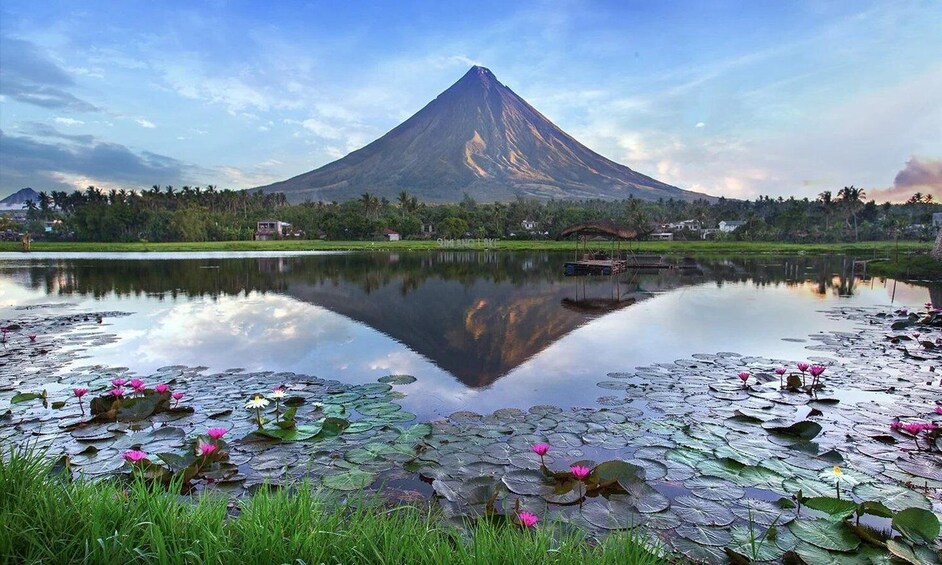 Picture 3 for Activity Bicol Mayon Volcano Easy Trek (Shared Tour)