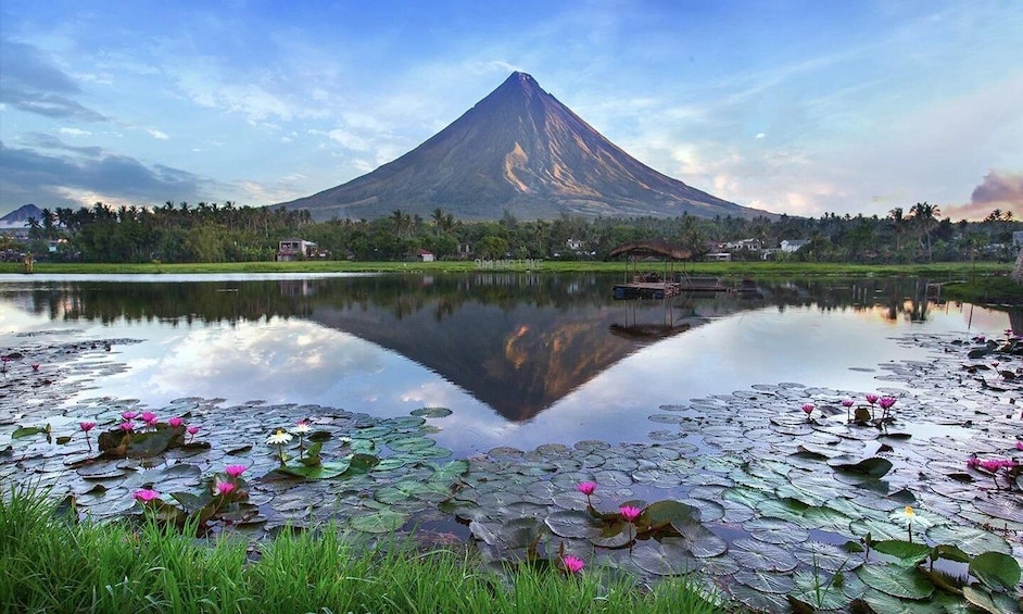 Picture 3 for Activity Bicol Mayon Volcano Easy Trek (Shared Tour)