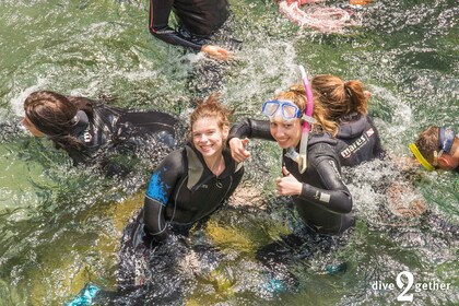 Garganta de Kourtaliotiko: Excursión de snorkel a las cascadas