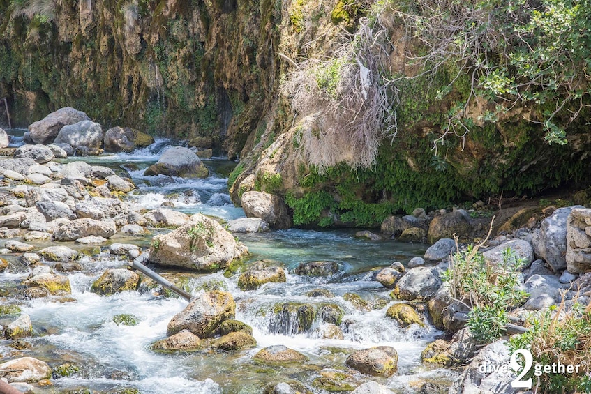 Picture 5 for Activity Kourtaliotiko Gorge: Snorkel Trip to the Waterfalls