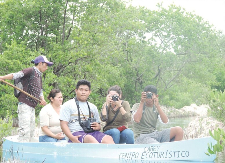 Picture 3 for Activity From Campeche: Flamingo Private Tour