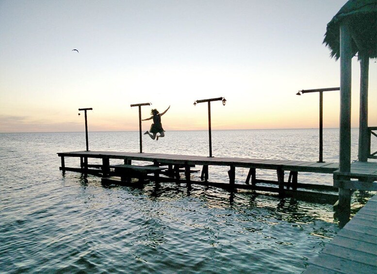 Picture 1 for Activity From Campeche: Flamingo Private Tour