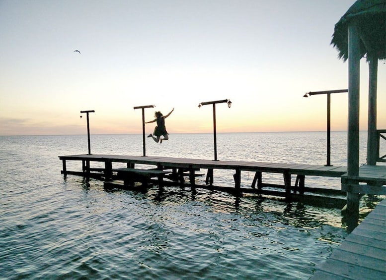 Picture 1 for Activity From Campeche: Flamingo Private Tour