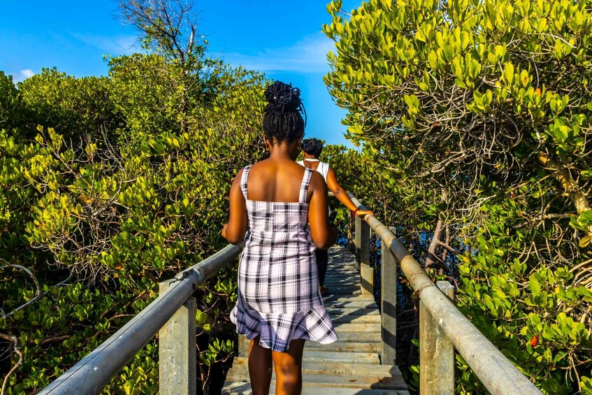 Picture 23 for Activity Exploring Nature's Treasures: A Private Day Trip in Diani