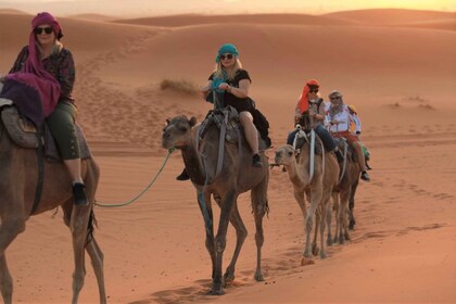 5 Days from fes to marrakech via desert tours