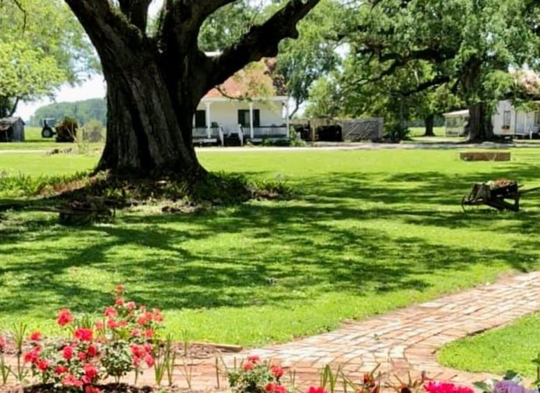 Picture 4 for Activity New Orleans: St. Joseph Plantation Guided Tour