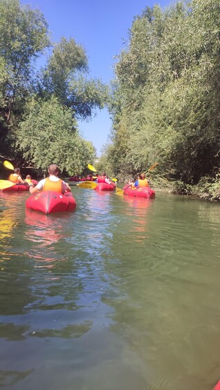 Picture 6 for Activity Lucca: Family-Friendly Kayaking Tour with Aperitif