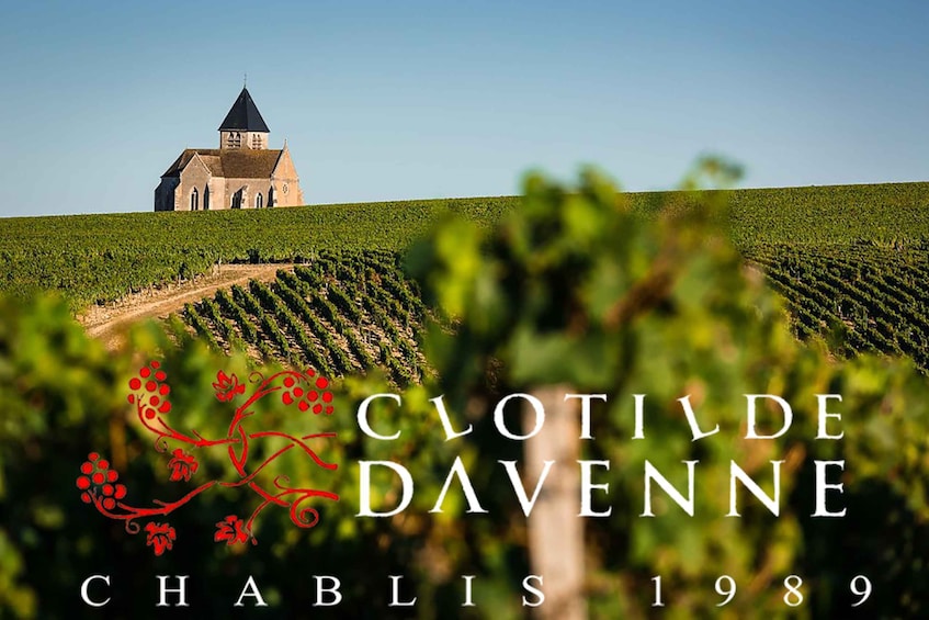 Picture 4 for Activity e-Mehari Tour and tasting Chablis Clotilde Davenne