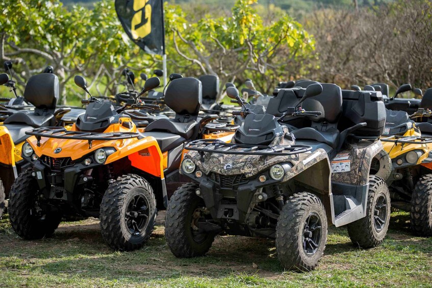 Picture 4 for Activity Dubrovnik: Countryside Guided ATV Tour & Tavern Refreshments