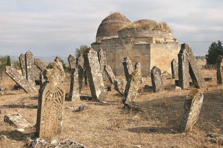 Picture 4 for Activity From Baku: Shamakhi City and Alpaca Farm Tour