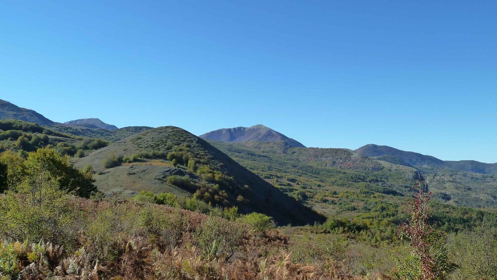 Picture 1 for Activity Cesaro: Private Guided Hike to Monte Pelato with Lunch