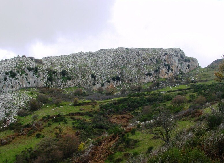 Picture 3 for Activity Cesaro: Private Guided Hike to Monte Pelato with Lunch