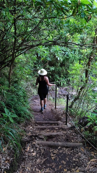 Hike in Rabaçal in a different way