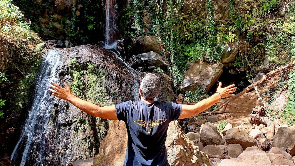 Picture 20 for Activity Maspalomas: Barranco de los Cernicalos Rainforest Hike