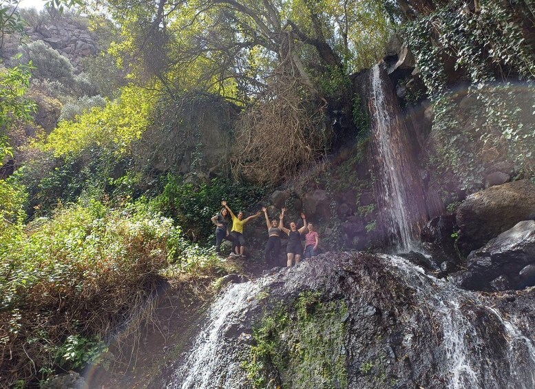 Picture 18 for Activity Maspalomas: Barranco de los Cernicalos Rainforest Hike