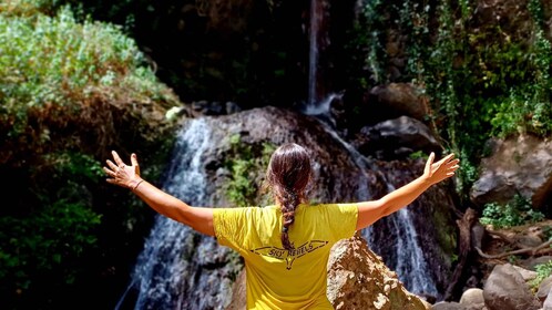 Maspalomas : randonnée dans la forêt tropicale de Barranco de los Cernicalo...