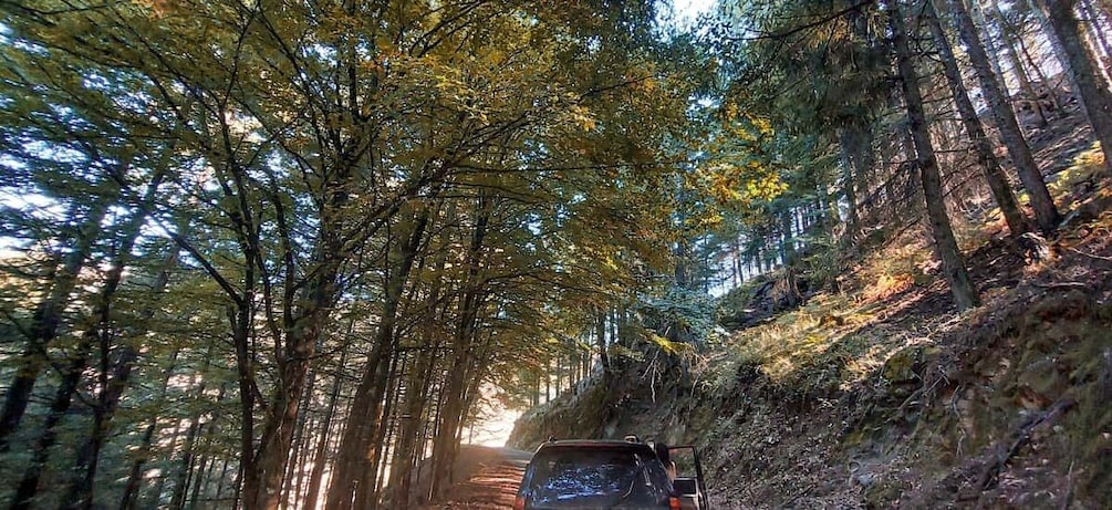 4x4 Serra da Estrela