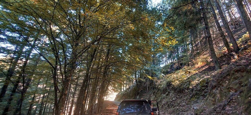 4x4 Serra da Estrela