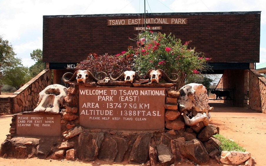 Picture 3 for Activity Day Tour To Tsavo East National Park From Malindi