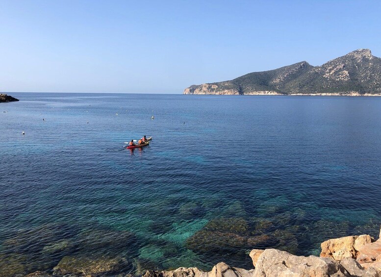 Discover the Island Dragonera by kayak and on foot