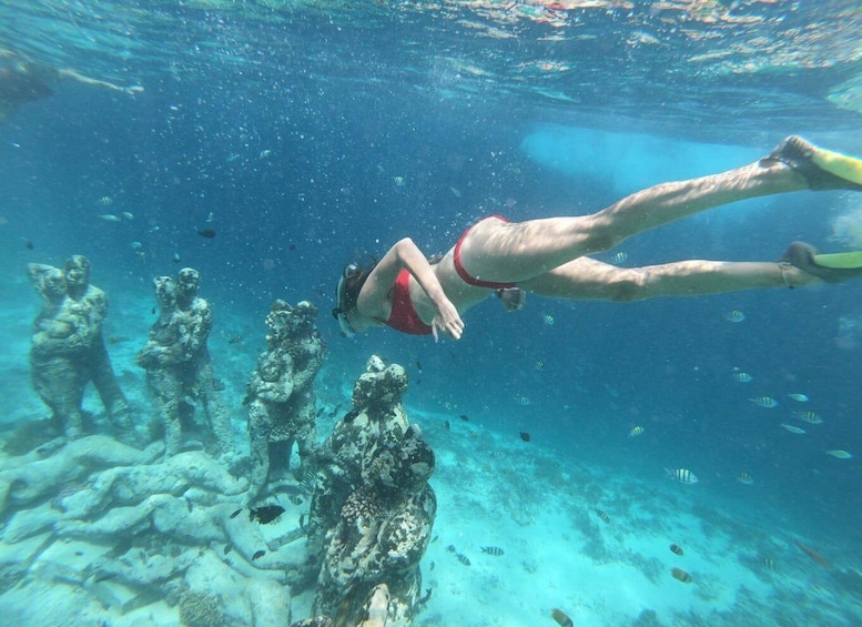 Picture 3 for Activity Gili Air/Trawangan: Glass-Bottom Boat Tour with Snorkeling