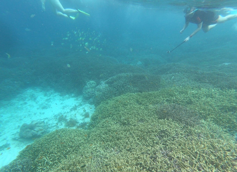 Picture 13 for Activity Gili Islands: 3-Island Sharing or Private Snorkeling Trip