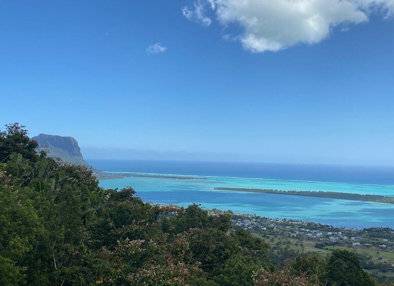 Picture 3 for Activity Mauritius: Dolphins watch half-day