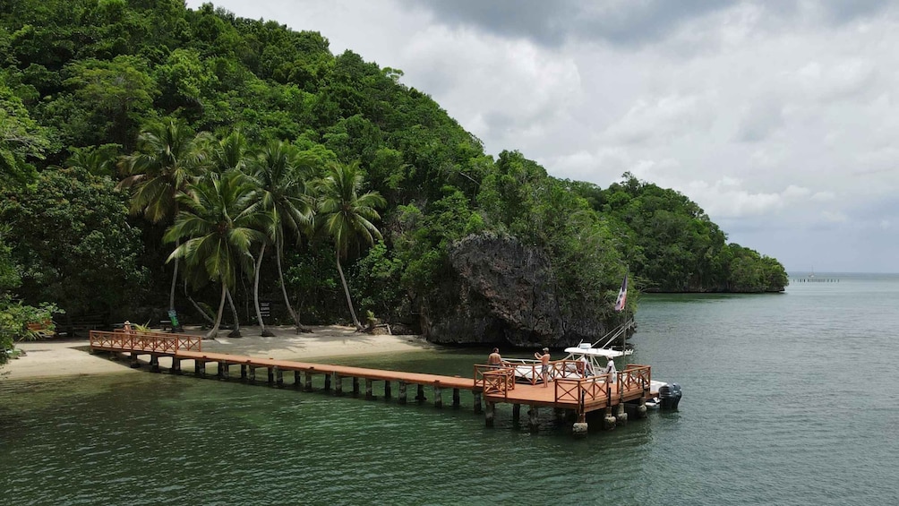 Picture 7 for Activity Samana: Private Los Haitises Expedition Caves & Mangroves