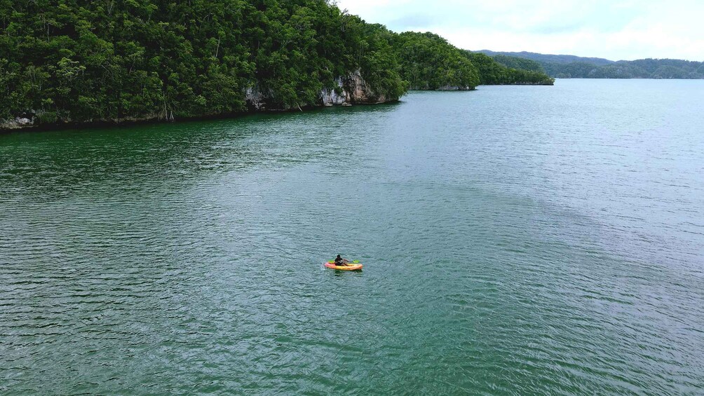 Samana: Private Los Haitises Expedition Caves & Mangroves