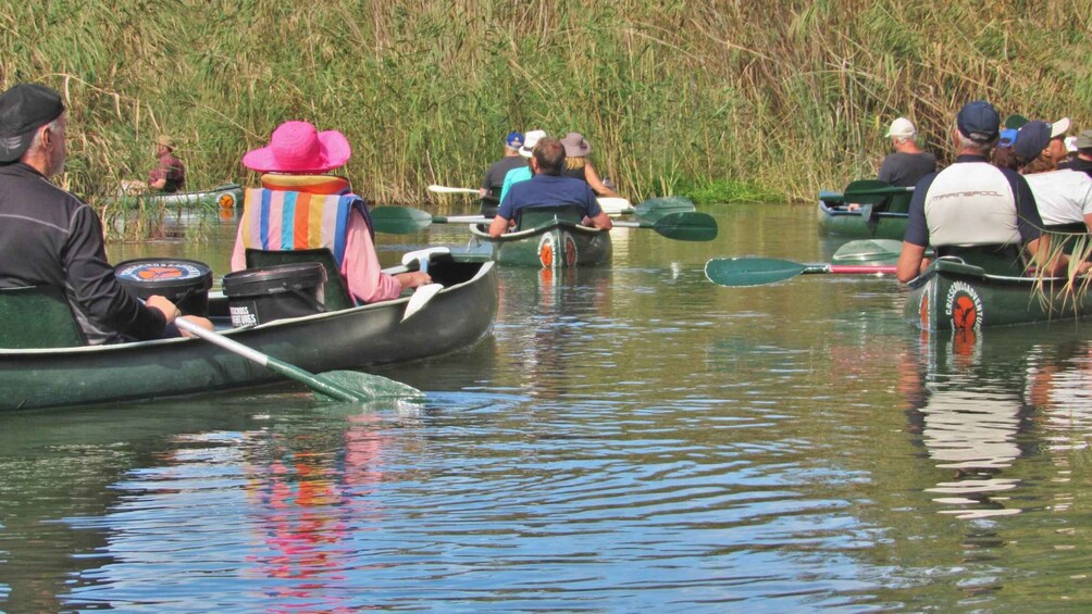 Picture 4 for Activity Addo River Safari - Guided Tour in Canoes