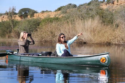 Addo River Safari - Guided Tour via Canoe