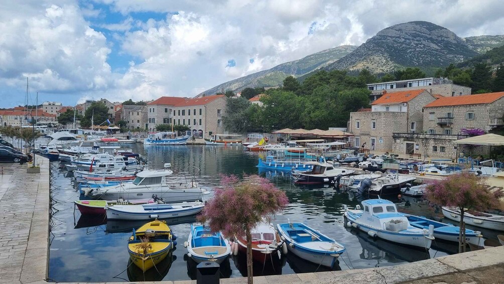 Picture 5 for Activity From Makarska: Golden Horn, Bol Speedboat Tour with Swimming