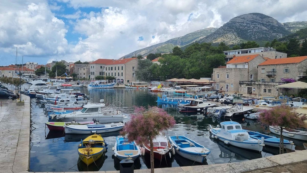 Picture 5 for Activity From Makarska: Golden Horn, Bol Speedboat Tour with Swimming