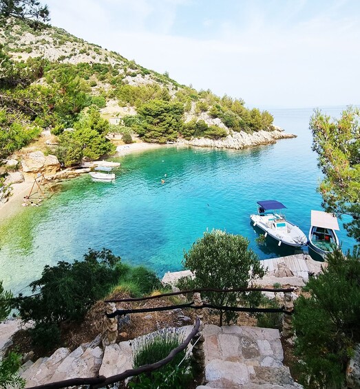 Picture 2 for Activity From Makarska: Golden Horn, Bol Speedboat Tour with Swimming