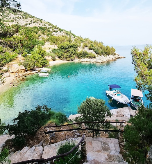 Picture 2 for Activity From Makarska: Golden Horn, Bol Speedboat Tour with Swimming