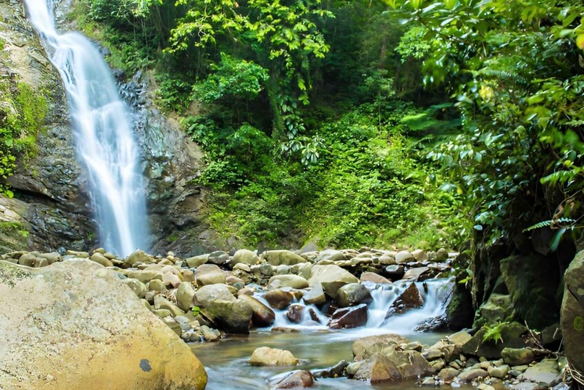 Picture 10 for Activity Best of Fiji Tours: 3 Days Package