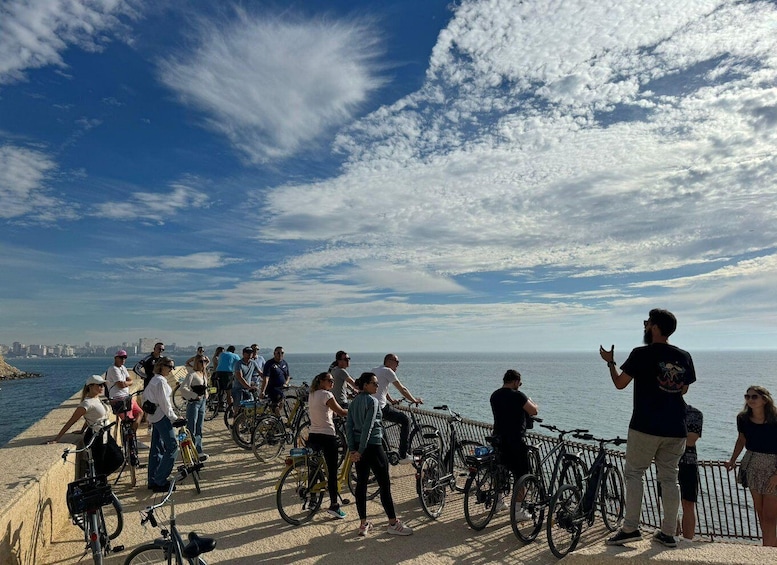 Picture 1 for Activity Alicante: City and Beach Bike Tour