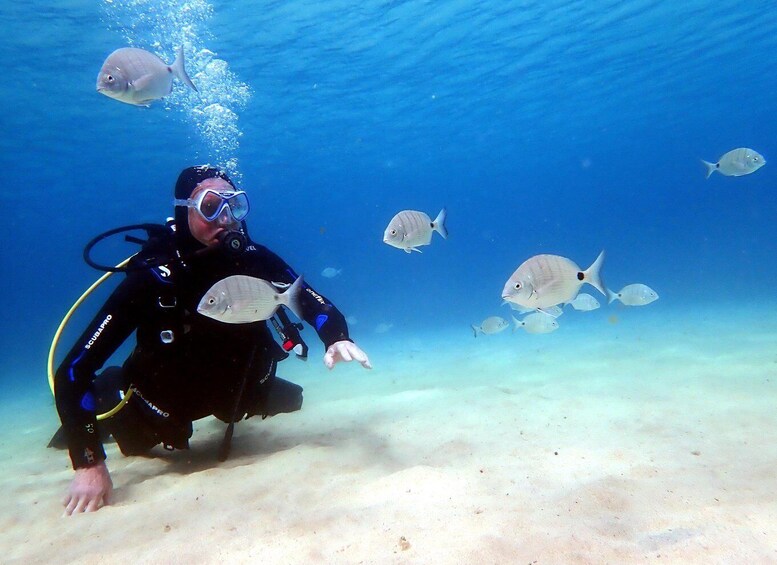 Picture 10 for Activity Lanzarote: Beginner Diving Course Costa Teguise (2 dives)