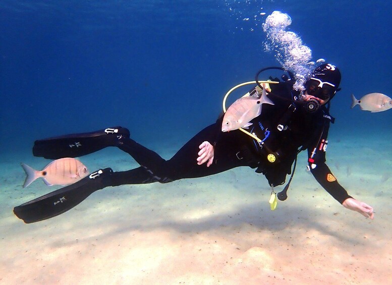 Lanzarote: Beginner Diving Course Costa Teguise (2 dives)