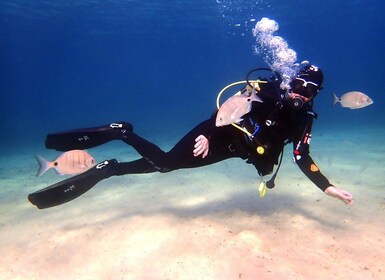 Lanzarote: Beginner Diving Course Costa Teguise (2 dives)