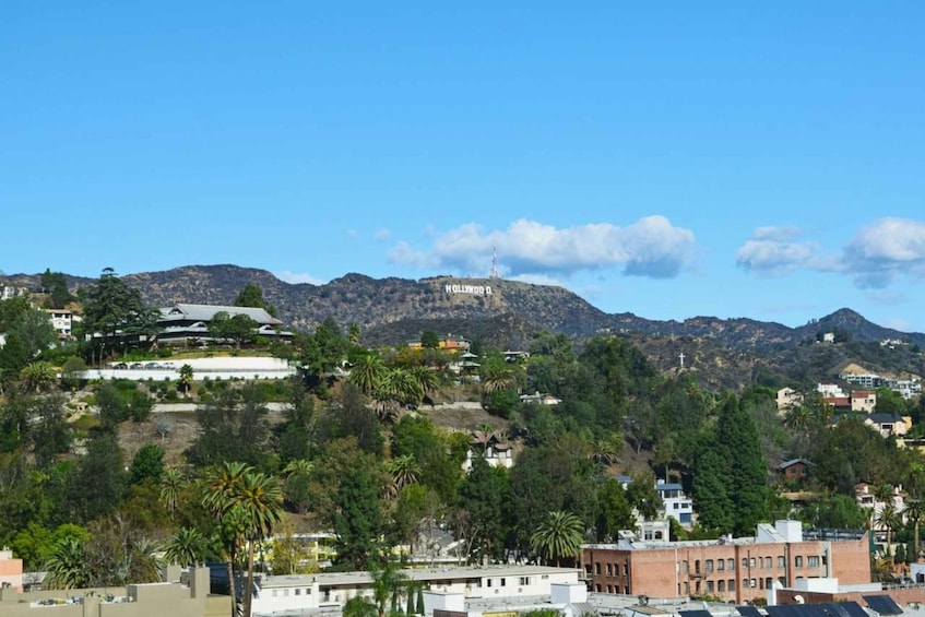 Hollywood Sign Adventure: A Walk Among the Stars