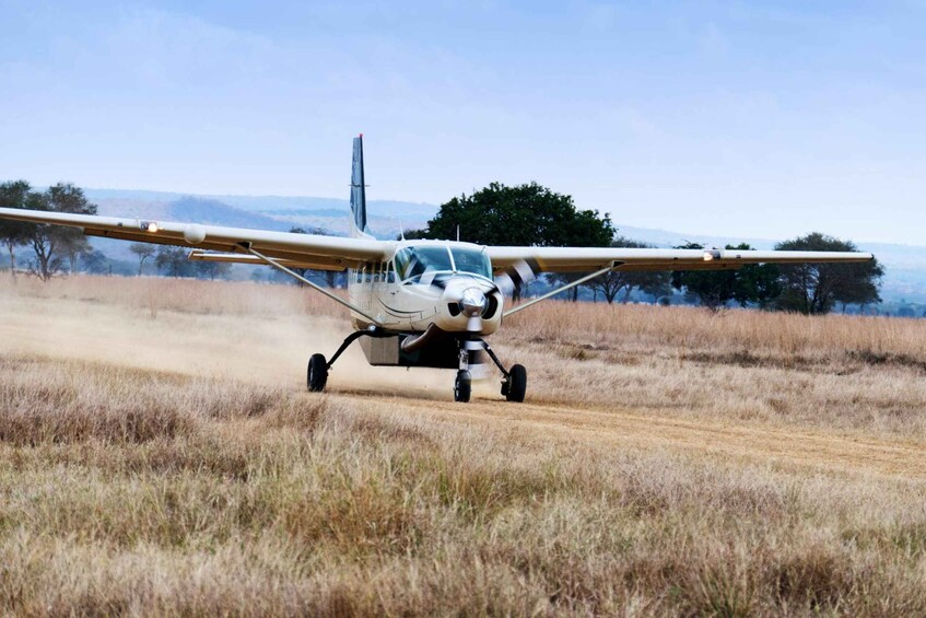 Zanzibar: Day Trip Fly In Safari To Mikumi National Park