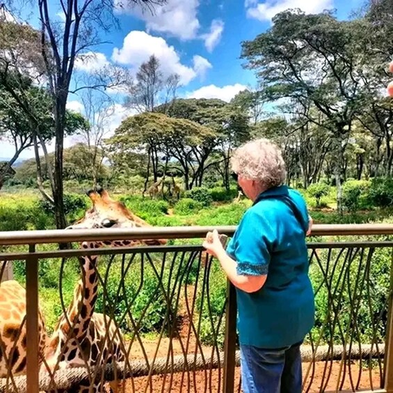 Picture 5 for Activity Mombasa: Nguuni Sanctuary Guided Giraffes Feeding Experience