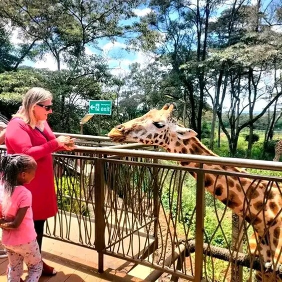 Picture 3 for Activity Mombasa: Nguuni Sanctuary Guided Giraffes Feeding Experience