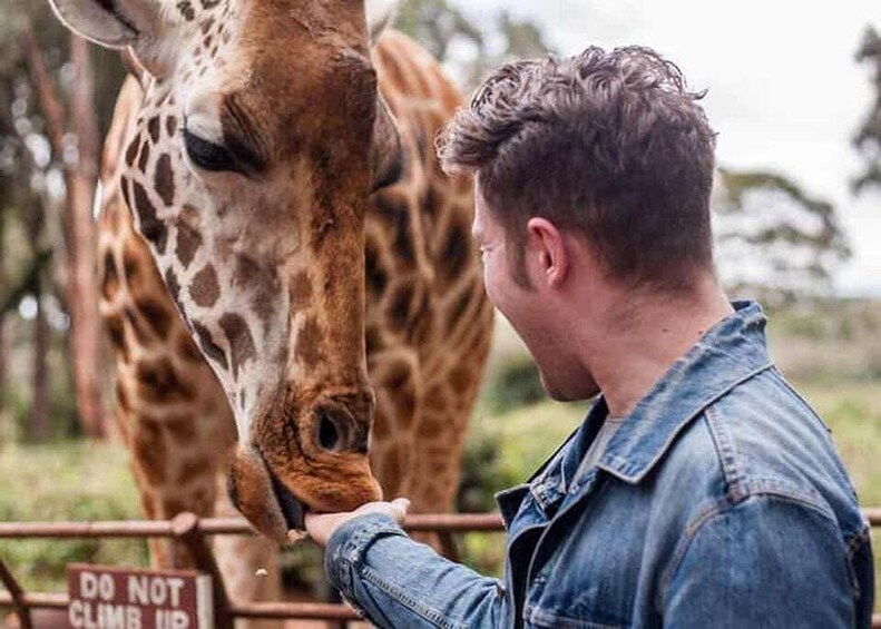 Picture 2 for Activity Mombasa: Nguuni Sanctuary Guided Giraffes Feeding Experience