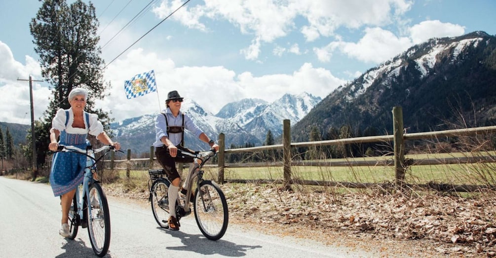 Picture 3 for Activity Leavenworth: Mountain Views Guided E-bike Tour