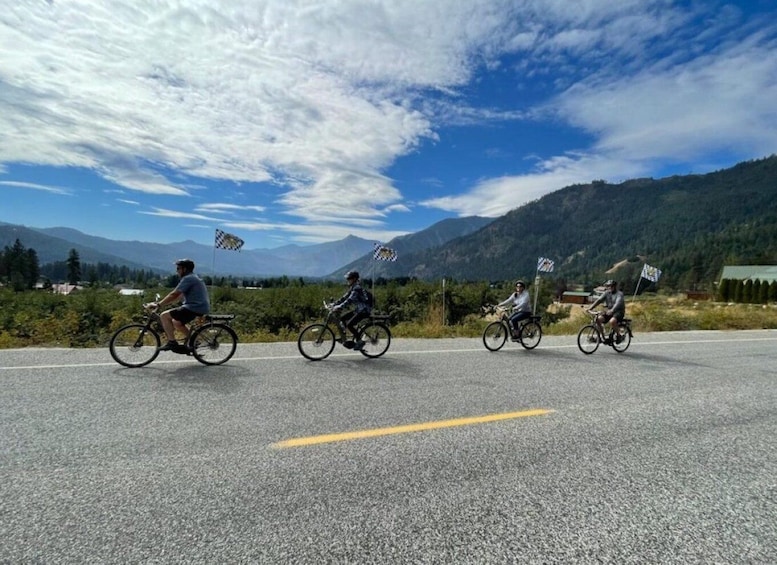 Picture 1 for Activity Leavenworth: Mountain Views Guided E-bike Tour