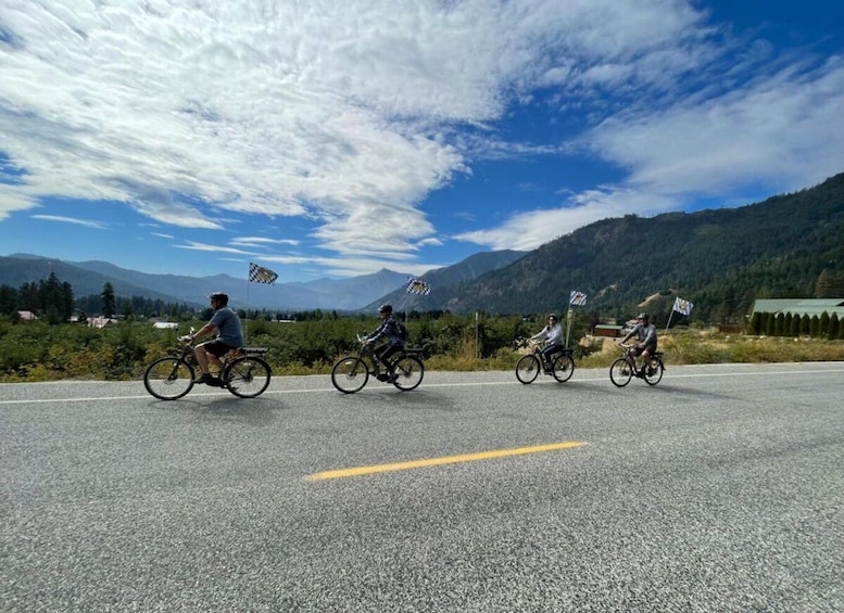 Picture 1 for Activity Leavenworth: Mountain Views Guided E-bike Tour