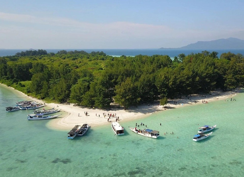 Picture 6 for Activity Diving tour Karimunjawa (private tour)