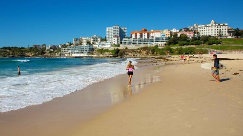 Desde Sídney: tour de un día completo por playas doradas y Ocean Vista